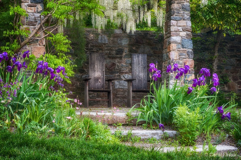 A Seat Under the Wisteria ~ Chanticleer