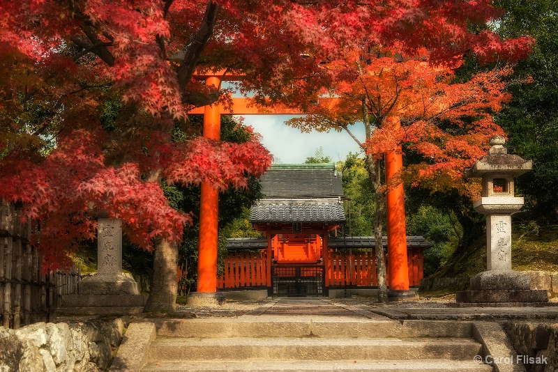 Tenryuji-in Temple Torii Gate ~ Kyoto, Japan