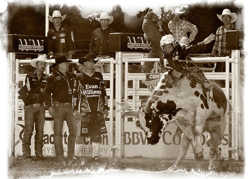 Cowboy Tintype