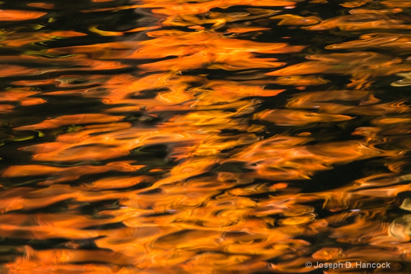  8008161 - Firewater