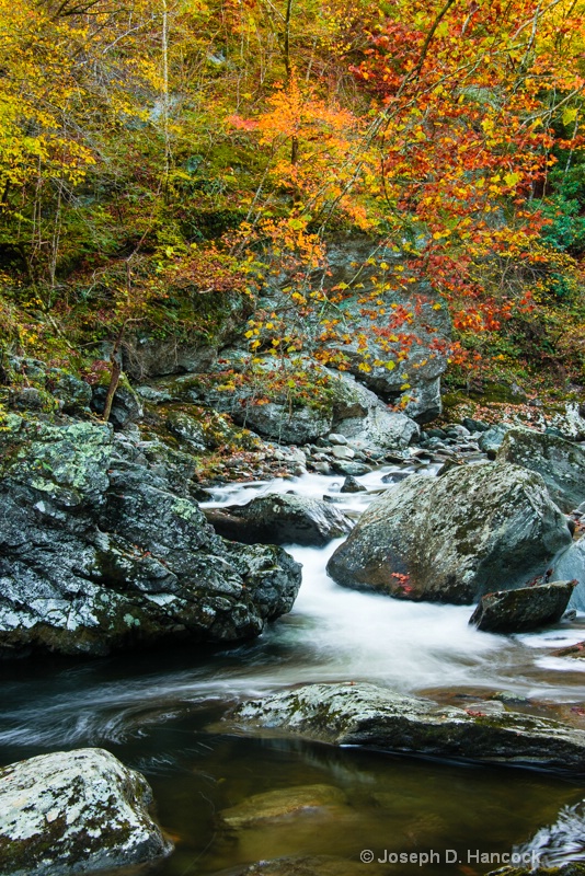  8008888 - Fall Along Little River