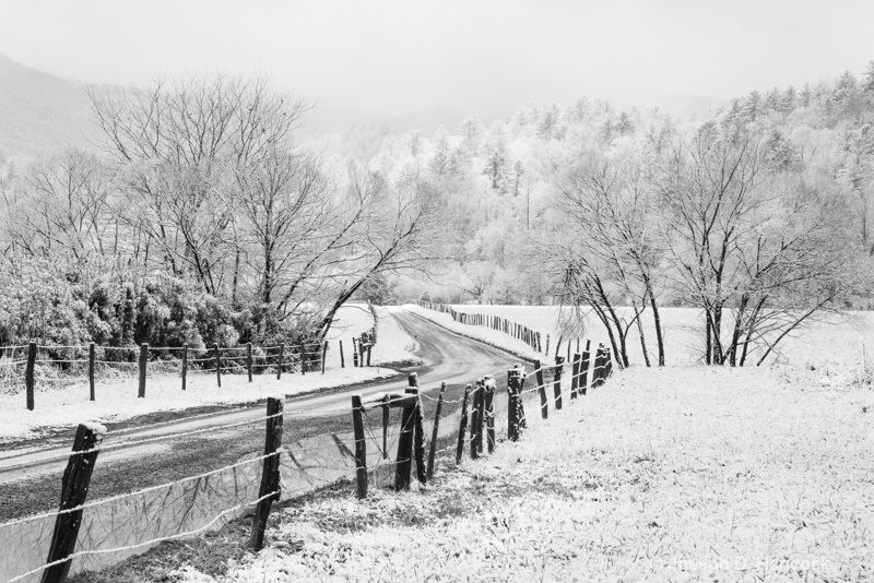  8009363 - Hyatt Lane in Winter No.2 (B&W)
