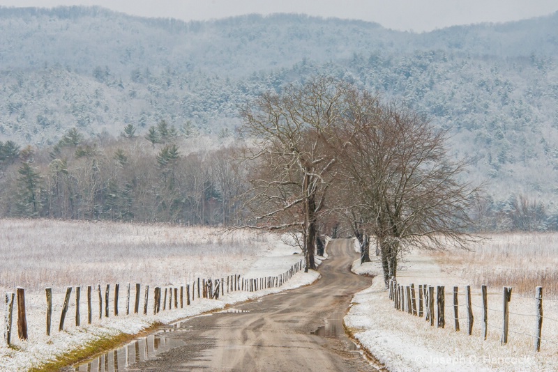  8009359 - Hyatt Lane in Winter