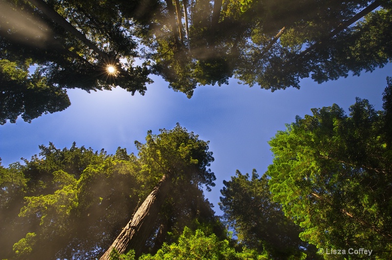 Above 