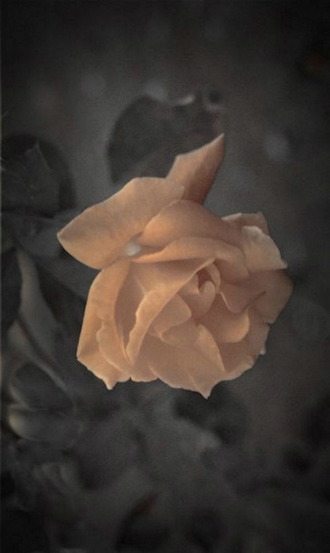 53