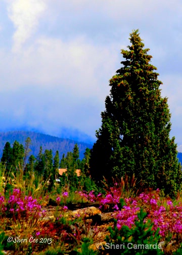 Colors in the Mountains