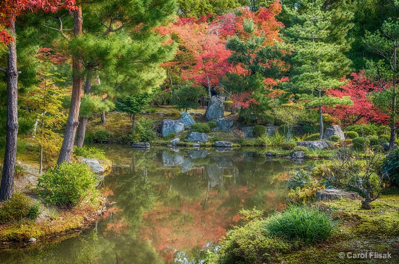 Autumn at Toji-in Temple Gardens ~ Japan