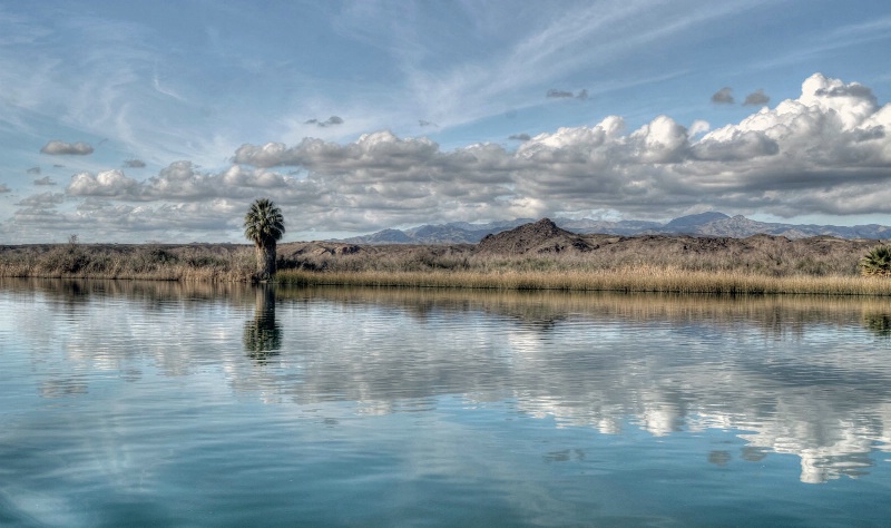 Reflections on the Colorado