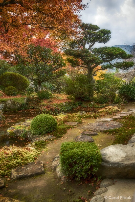A Meditative Garden