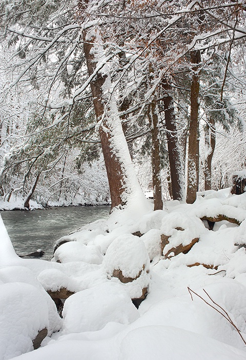 Little River Snow 1, Mountaineer Campground