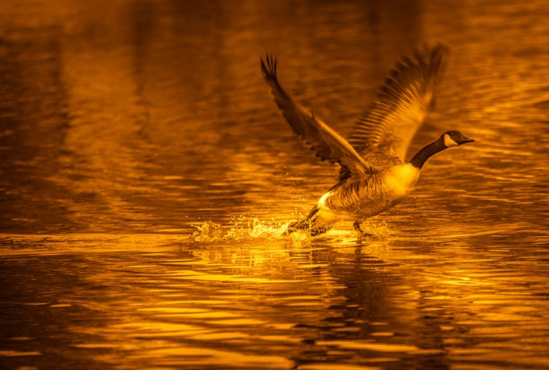 Walking on Water