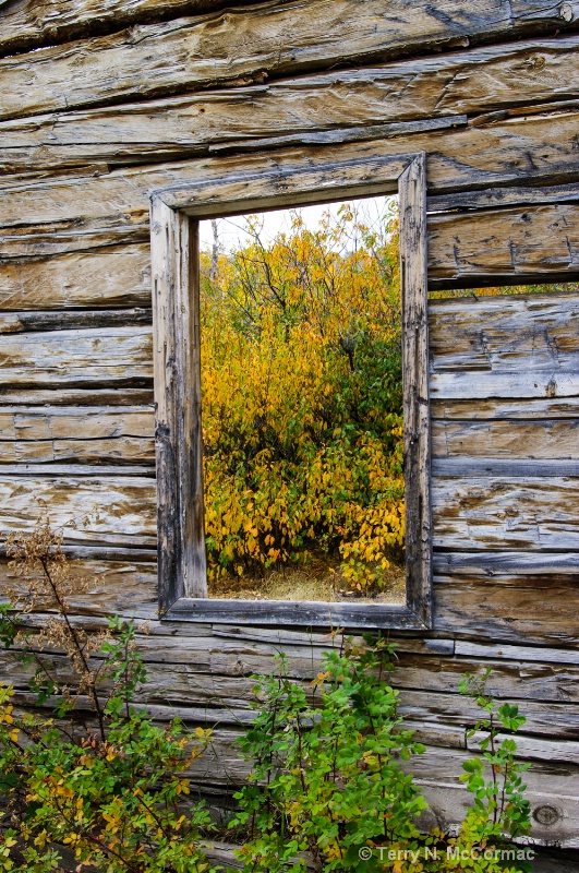 Fall Colors through window 