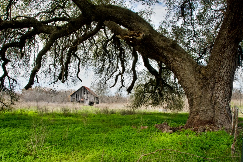 Hutto barn