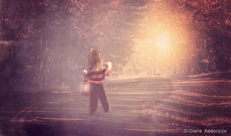 Into the Woods