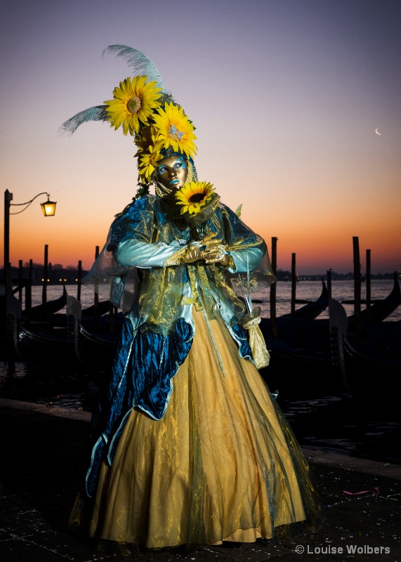 Sunflower in Venice