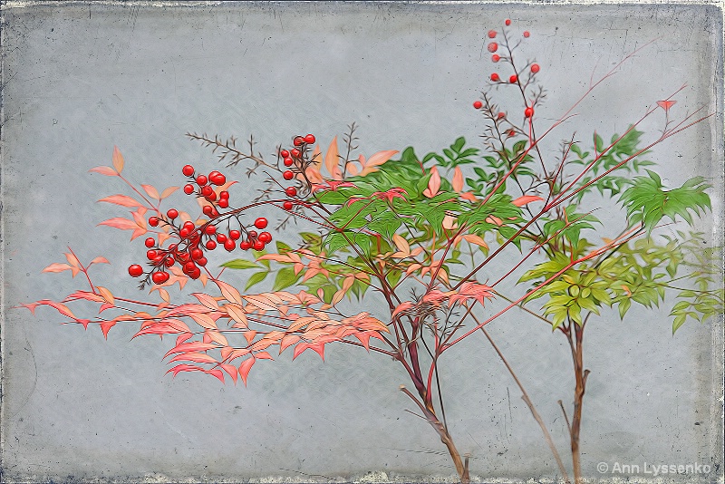 Red Berries by the Wall