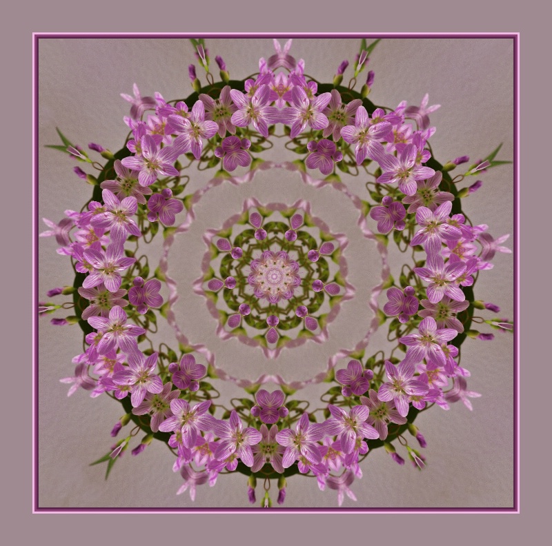 72