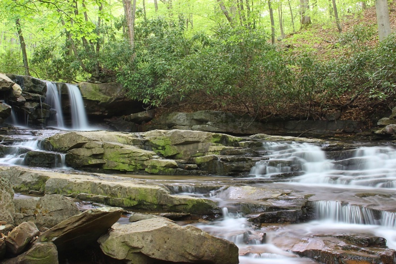 Spring at Jonathan Falls