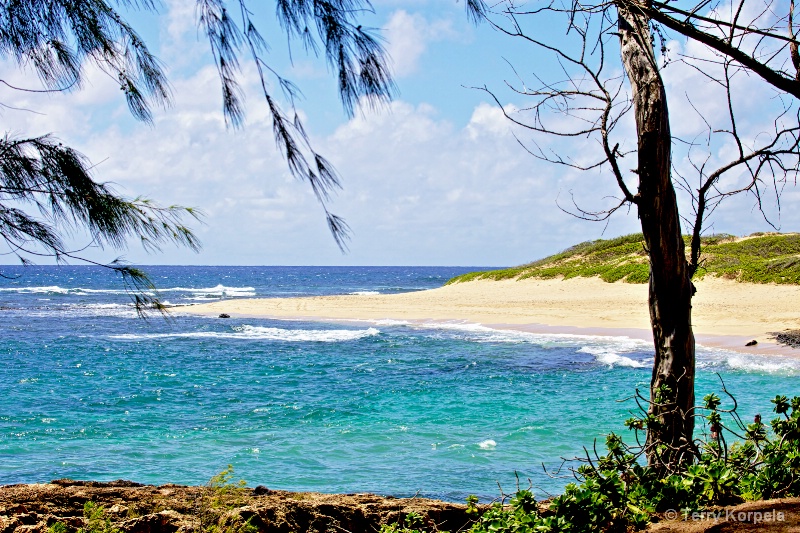 Hawaiian Beach