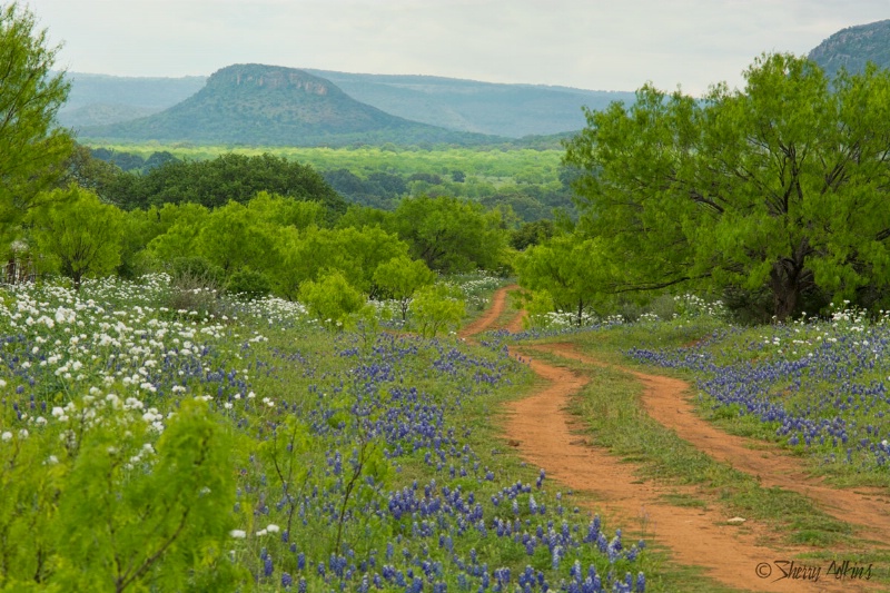 Texas Hill Country