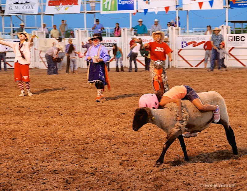 Mutton Busting 