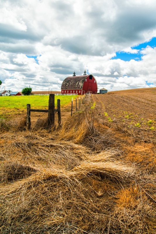 Friendly Barn