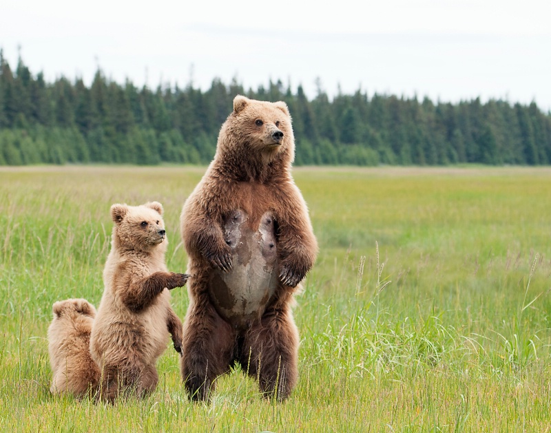 Hey Mom!  Who's that?