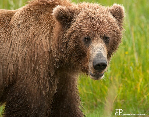 Hi there!  Are you here for lunch?
