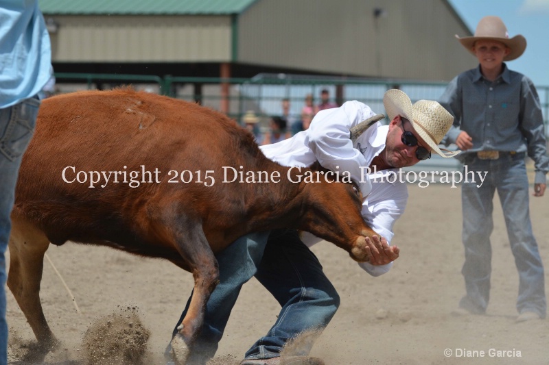 ujra parent rodeo 2015  72 