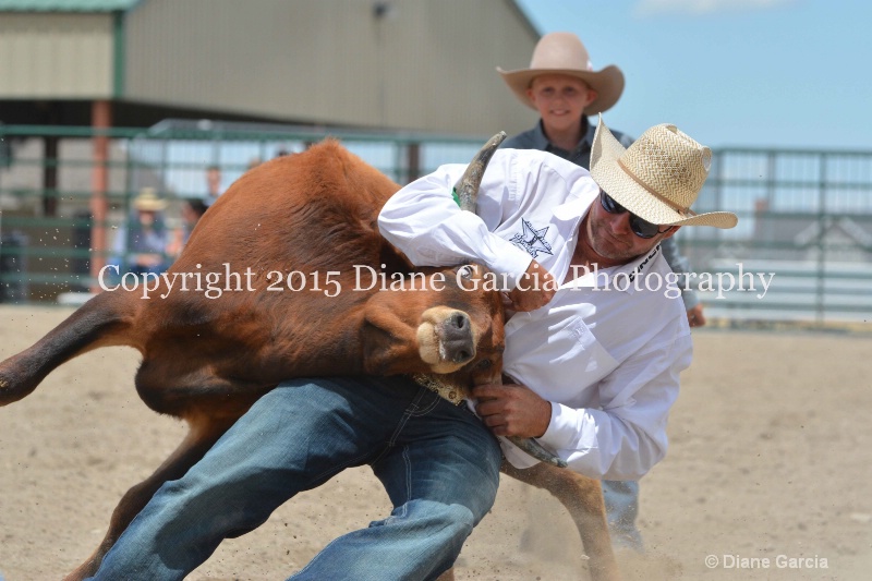 ujra parent rodeo 2015  70 