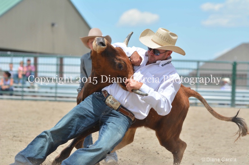 ujra parent rodeo 2015  69 
