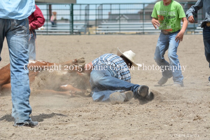 ujra parent rodeo 2015  61 