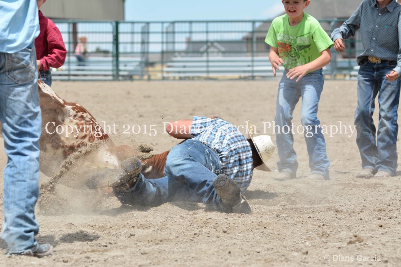 ujra parent rodeo 2015  60 