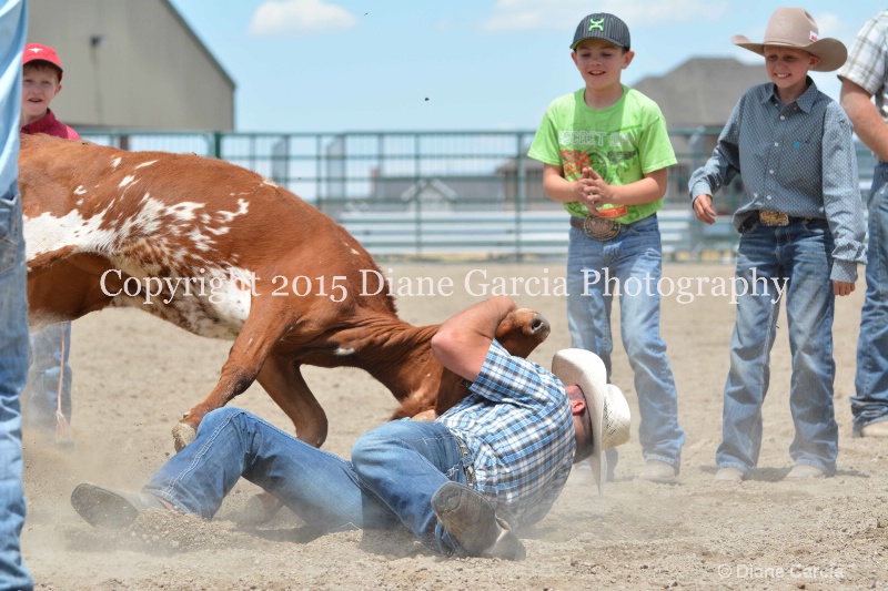 ujra parent rodeo 2015  59 