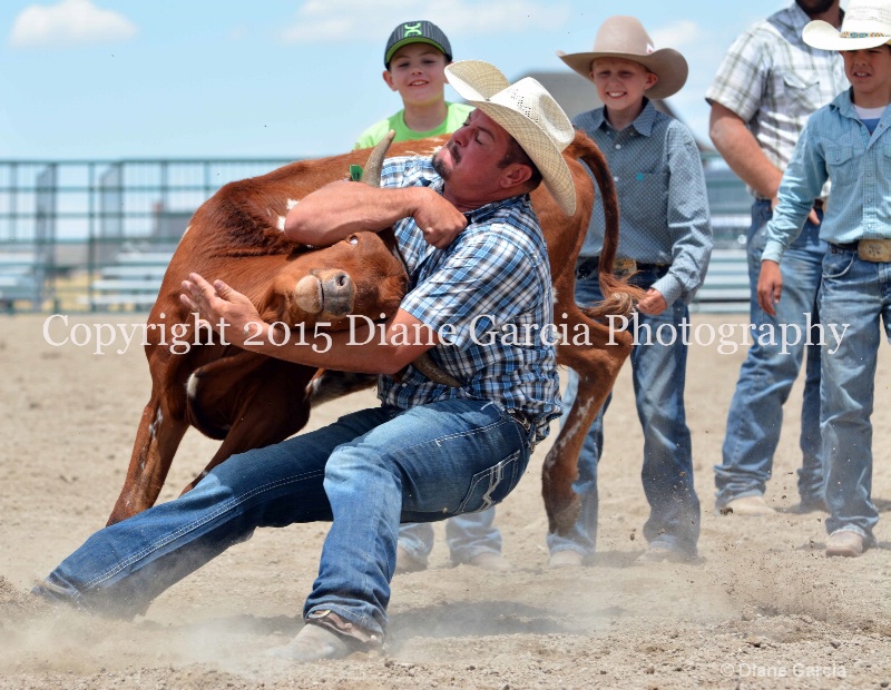 ujra parent rodeo 2015  56 