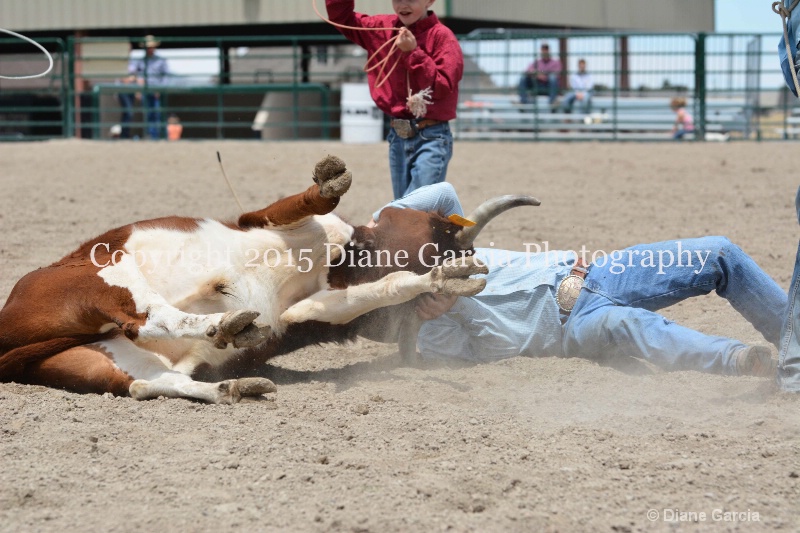 ujra parent rodeo 2015  53 