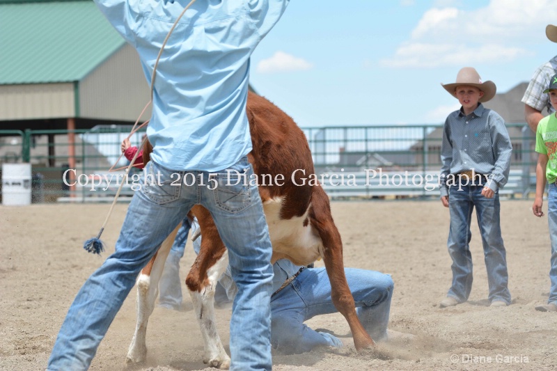 ujra parent rodeo 2015  51 