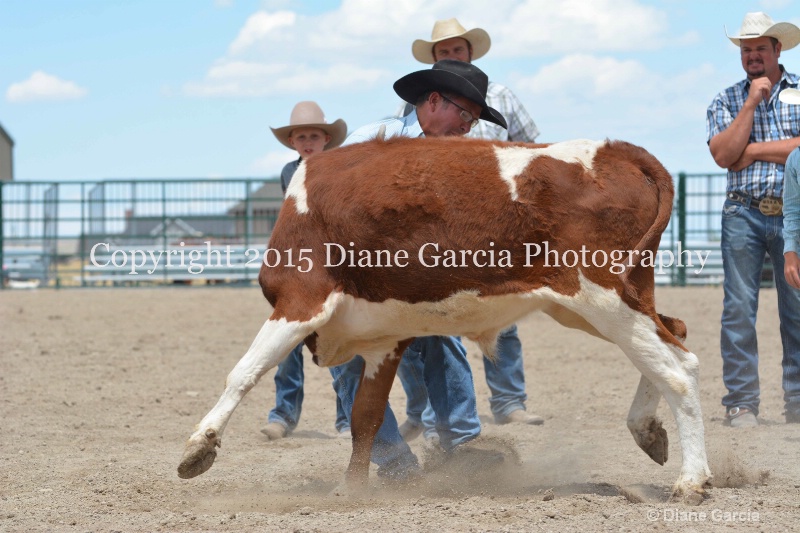 ujra parent rodeo 2015  50 