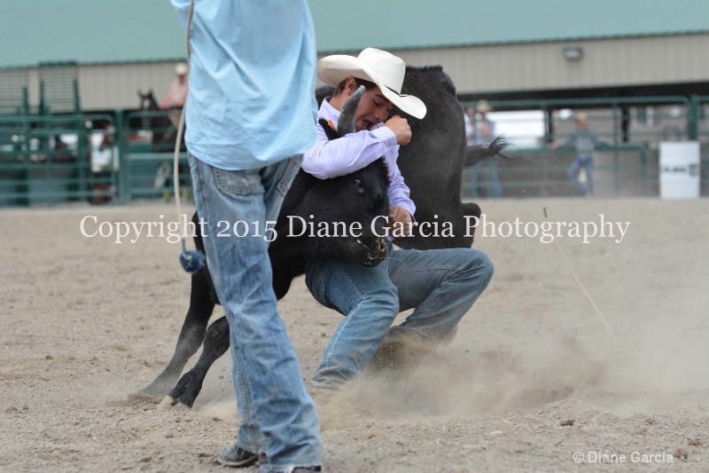 ujra parent rodeo 2015  48 