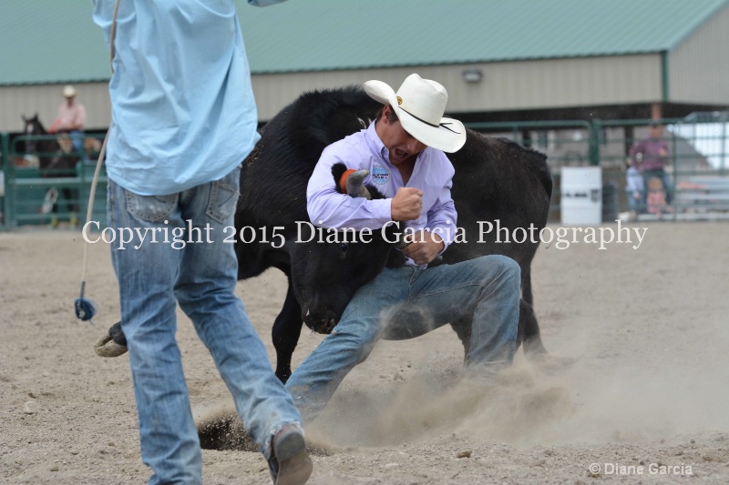 ujra parent rodeo 2015  47 