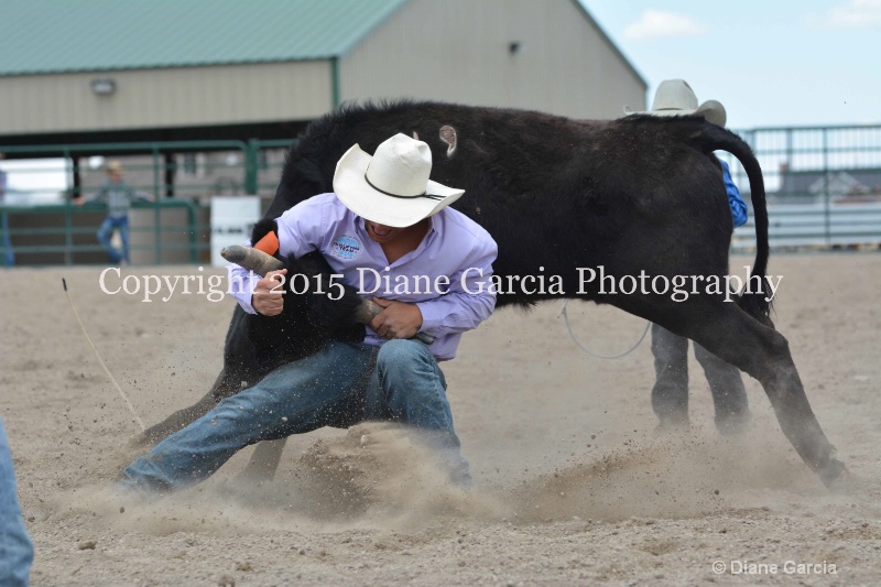 ujra parent rodeo 2015  45 