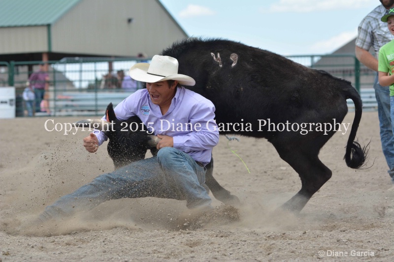 ujra parent rodeo 2015  44 