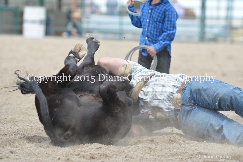 ujra parent rodeo 2015  41 