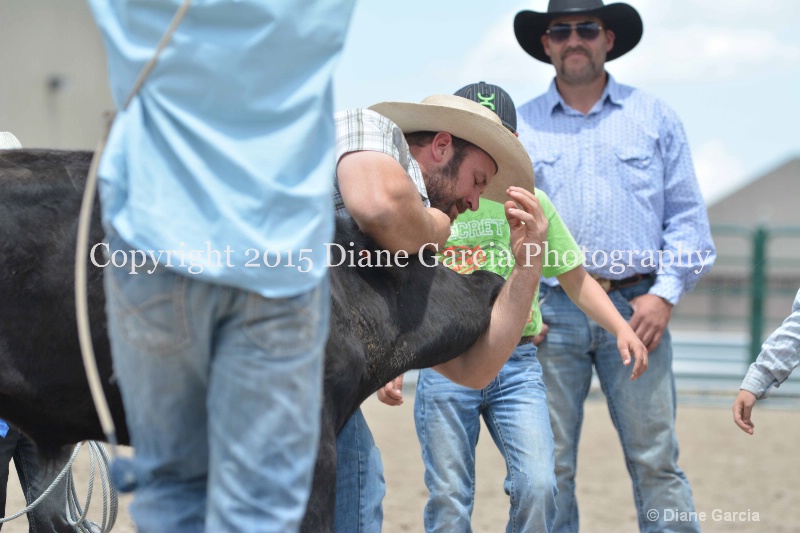 ujra parent rodeo 2015  40 