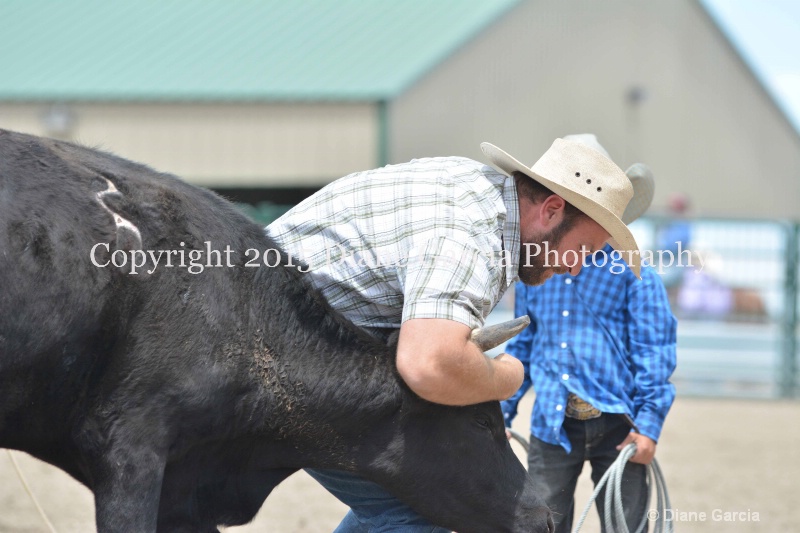 ujra parent rodeo 2015  39 