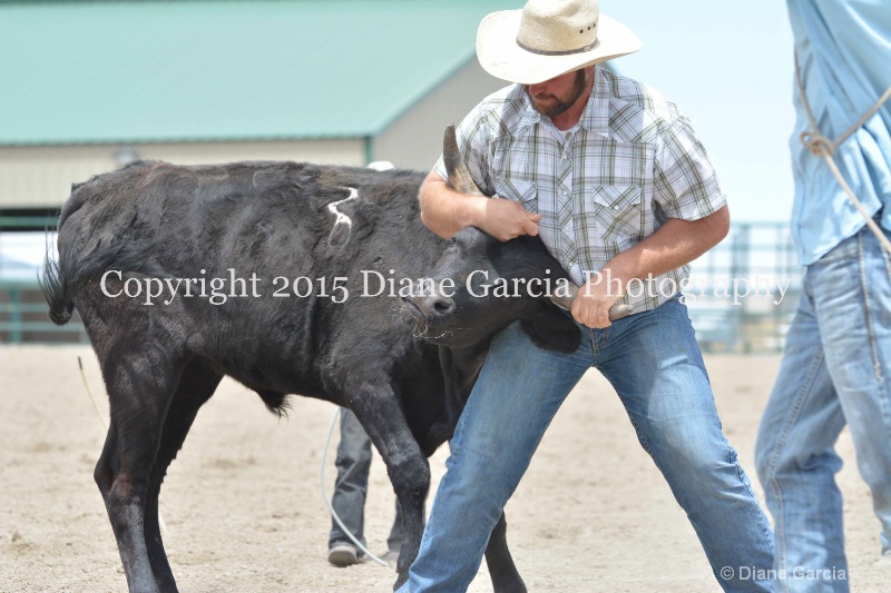 ujra parent rodeo 2015  37 