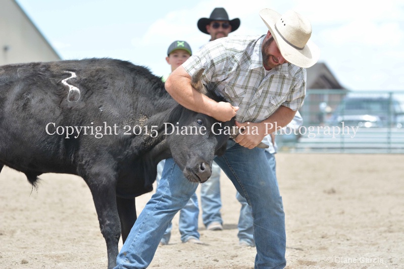 ujra parent rodeo 2015  36 