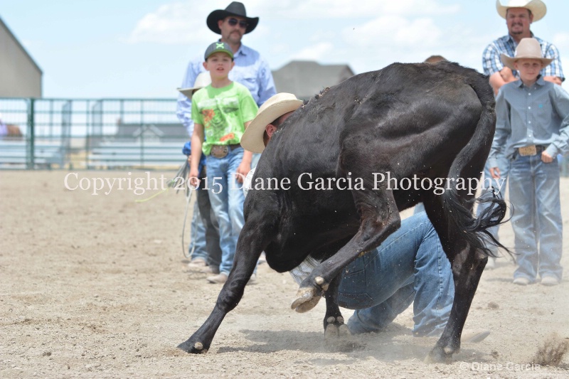 ujra parent rodeo 2015  32 