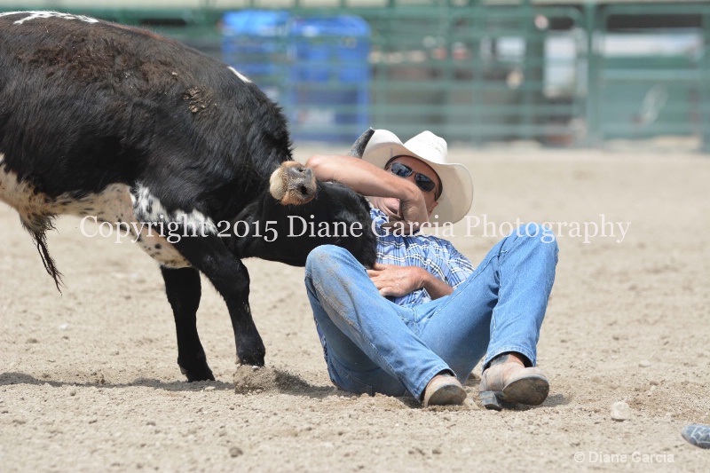 ujra parent rodeo 2015  14 