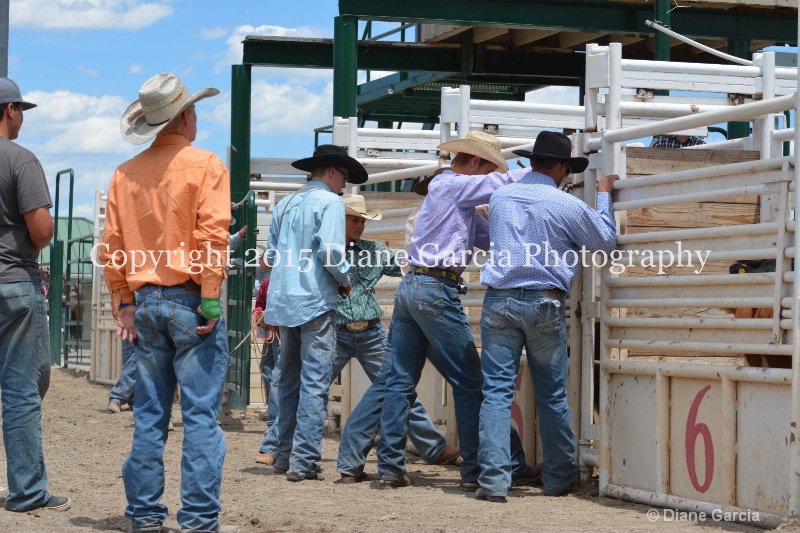 ujra parent rodeo 2015  6 